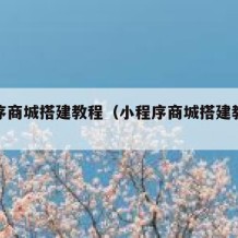 小程序商城搭建教程（小程序商城搭建教程视频）
