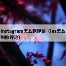 instagram怎么删评论（ins怎么删除评论）