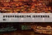 自学软件开发能找到工作吗（软件开发如何自学）