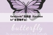 facebook广告联盟（facebook广告管理平台）