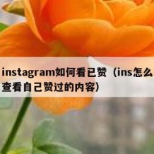 instagram如何看已赞（ins怎么查看自己赞过的内容）