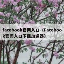 facebook官网入口（Facebook官网入口下载加速器）