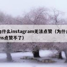 为什么instagram无法点赞（为什么ins点赞不了）