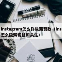 instagram怎么样隐藏赞数（ins怎么隐藏粉丝和关注）