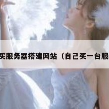 自己买服务器搭建网站（自己买一台服务器）