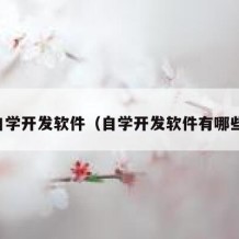 自学开发软件（自学开发软件有哪些）