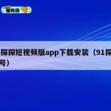 91探探短视频版app下载安装（91探探账号）