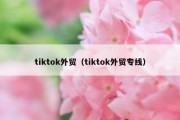 tiktok外贸（tiktok外贸专线）