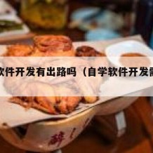 自学软件开发有出路吗（自学软件开发需要多久）