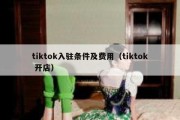 tiktok入驻条件及费用（tiktok 开店）