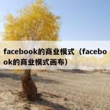 facebook的商业模式（facebook的商业模式画布）