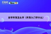 自学开发怎么学（开发入门学什么）