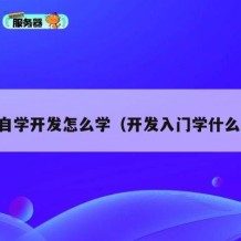 自学开发怎么学（开发入门学什么）