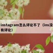 instagram怎么评论不了（ins没有评论）