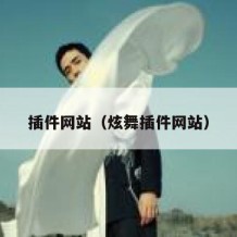 插件网站（炫舞插件网站）