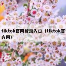 tiktok官网登录入口（tiktok官方网）