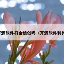 开源软件符合信创吗（开源软件利弊）