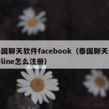 泰国聊天软件facebook（泰国聊天软件line怎么注册）