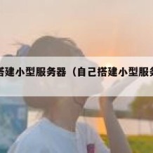 自己搭建小型服务器（自己搭建小型服务器多少钱）