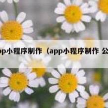 app小程序制作（app小程序制作 公司）