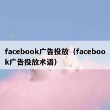 facebook广告投放（facebook广告投放术语）