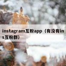 instagram互粉app（有没有ins互粉群）