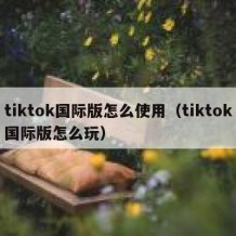 tiktok国际版怎么使用（tiktok国际版怎么玩）