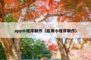 app小程序制作（应用小程序制作）