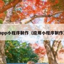 app小程序制作（应用小程序制作）