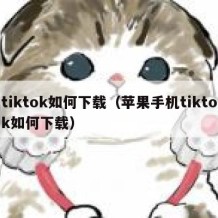 tiktok如何下载（苹果手机tiktok如何下载）