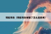 钱能钱包（钱能钱包被骗了怎么追回来）