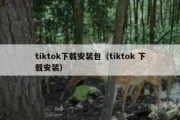 tiktok下载安装包（tiktok 下载安装）