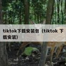 tiktok下载安装包（tiktok 下载安装）