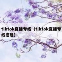 tiktok直播专线（tiktok直播专线搭建）