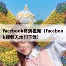 facebook高清视频（facebook视频无水印下载）