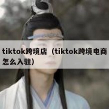 tiktok跨境店（tiktok跨境电商怎么入驻）