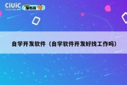 自学开发软件（自学软件开发好找工作吗）