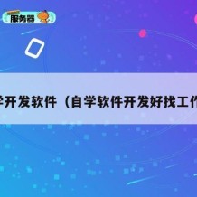 自学开发软件（自学软件开发好找工作吗）
