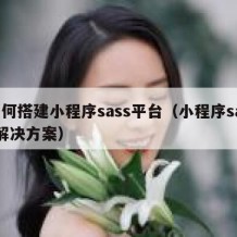 如何搭建小程序sass平台（小程序saas解决方案）