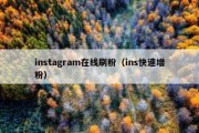 instagram在线刷粉（ins快速增粉）