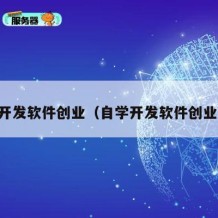 自学开发软件创业（自学开发软件创业方向）