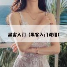 黑客入门（黑客入门课程）