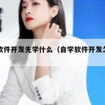 自学软件开发先学什么（自学软件开发怎么入门）