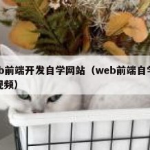 web前端开发自学网站（web前端自学全套视频）