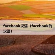 facebook汉语（facebook的汉语）
