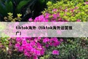 tiktok海外（tiktok海外运营推广）