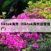 tiktok海外（tiktok海外运营推广）