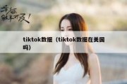 tiktok数据（tiktok数据在美国吗）