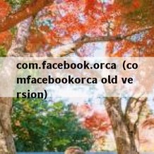 com.facebook.orca（comfacebookorca old version）