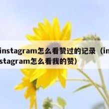 instagram怎么看赞过的记录（instagram怎么看我的赞）